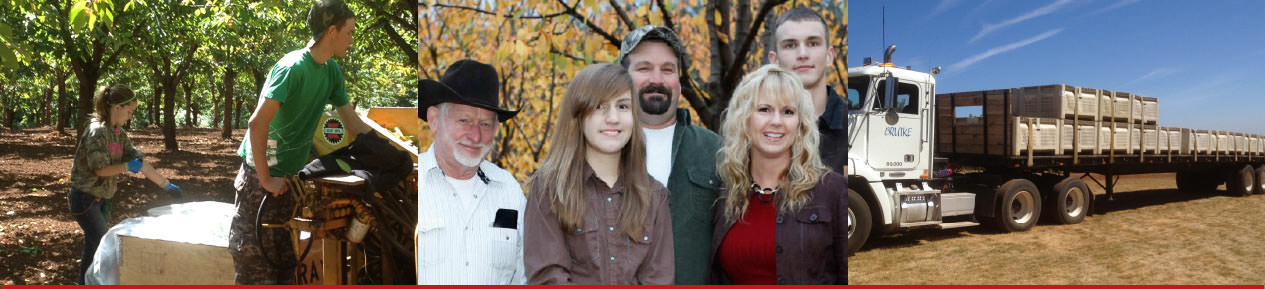 Brutke Famrs
